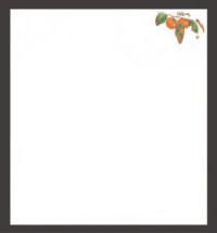 Four Seasons Tempura Paper (Large) Kaki 柿 (Sep - Nov)