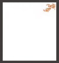 Four Seasons Tempura Paper (Large) Momiji 紅葉(Oct - Nov)