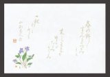 Photo: Shaku 4 Non-luminescent Kaiseki Paper Placemat Sumire すみれ(Apr - May)