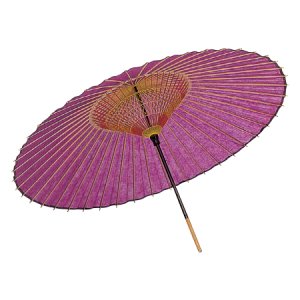 Photo: Janome Umbrella (Plain) Purple