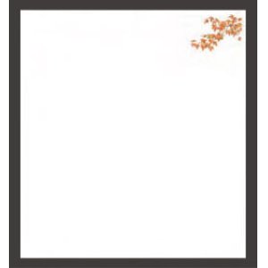 Photo: Four Seasons Tempura Paper (Large) Momiji 紅葉(Oct - Nov)